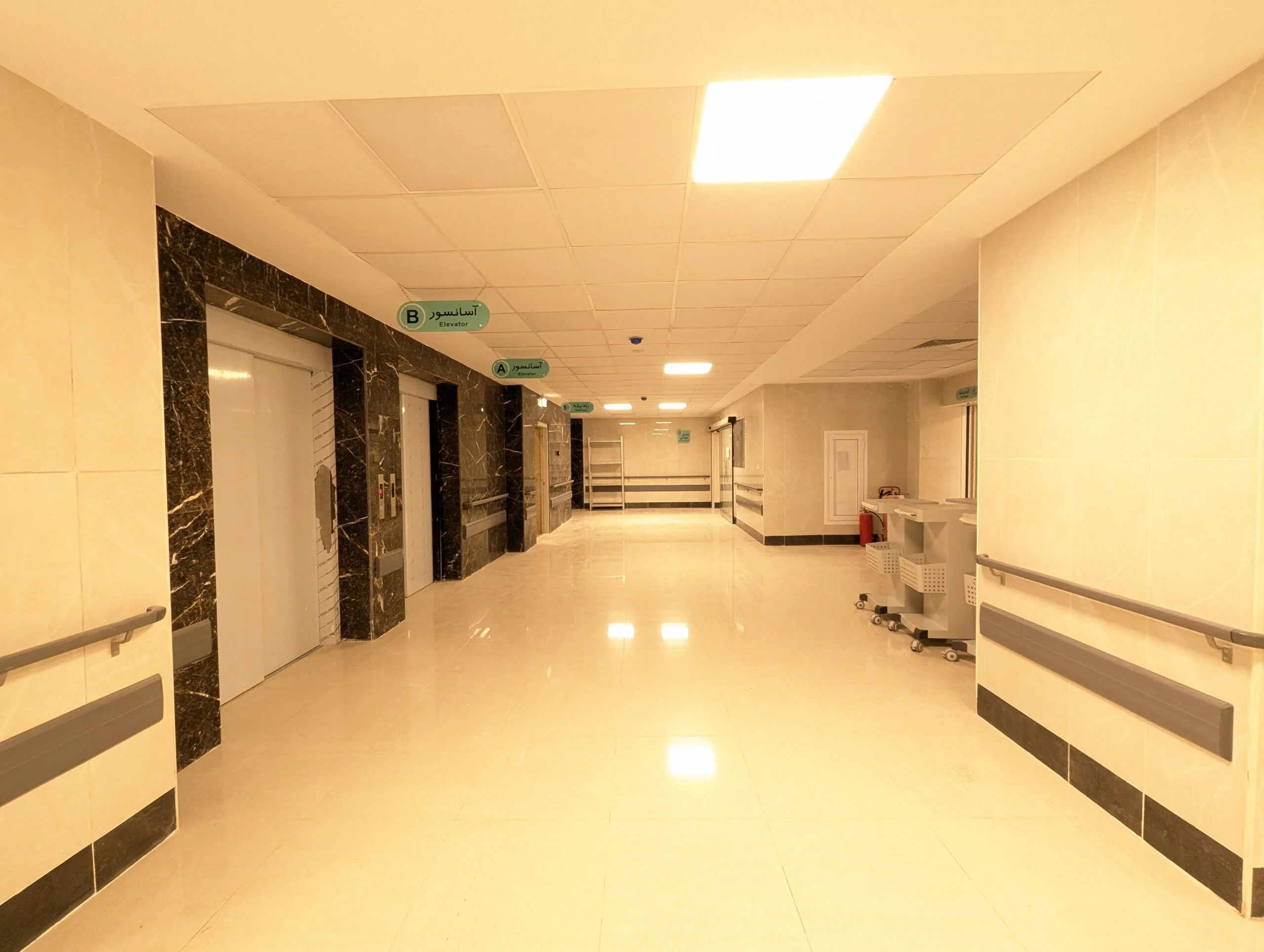 PXL_20241209_105632085